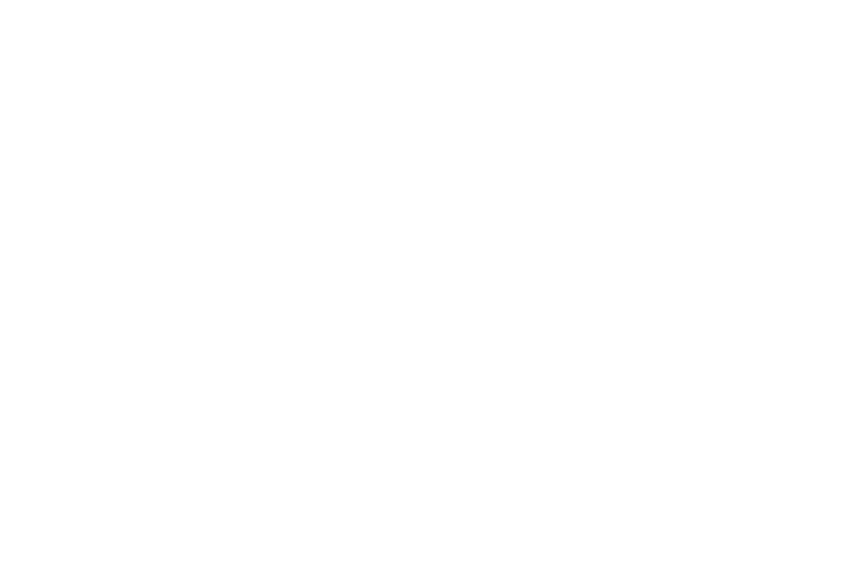 Fantasy Sci-Fi Film and Screenplay Festival official selection laurel